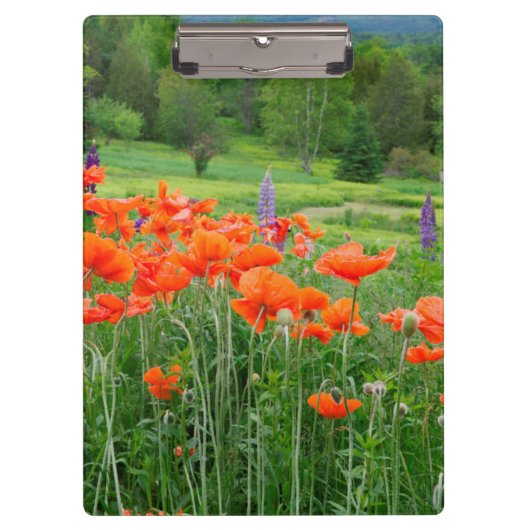 Kanada, New Brunswick,Landschaft Klemmbrett (Vorderseite)