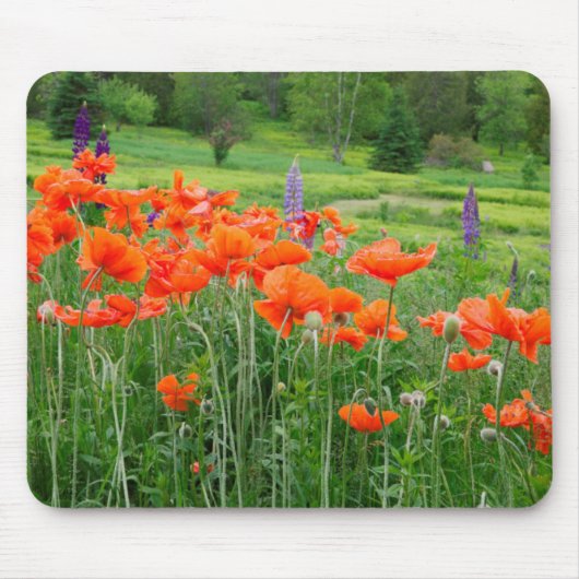 Kanada, New Brunswick, . Landschaft Mousepad (Vorne)