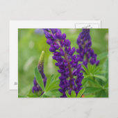 Kanada, New Brunswick, Postkarte (Vorne/Hinten)