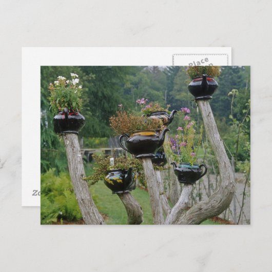 Kanada, New Brunswick, St Andrews. Teekannen Postkarte (Vorne/Hinten)