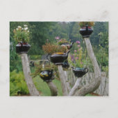 Kanada, New Brunswick, St Andrews. Teekannen Postkarte (Vorderseite)