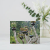 Kanada, New Brunswick, St Andrews. Teekannen Postkarte (Stehend Vorderseite)