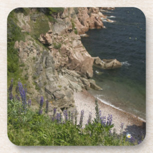 Kanada, Nova Scotia, Cape Breton Island, Cabot 3 Getränkeuntersetzer