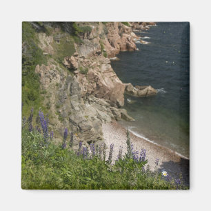 Kanada, Nova Scotia, Cape Breton Island, Cabot 3 Magnet