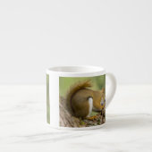 Kanada, Nova Scotia, Halifax. Öffentliche Gärten, Espressotasse (Vorderseite Rechts)