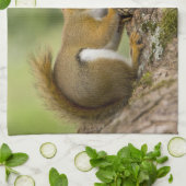 Kanada, Nova Scotia, Halifax. Öffentliche Gärten, Geschirrtuch (Gefaltet)