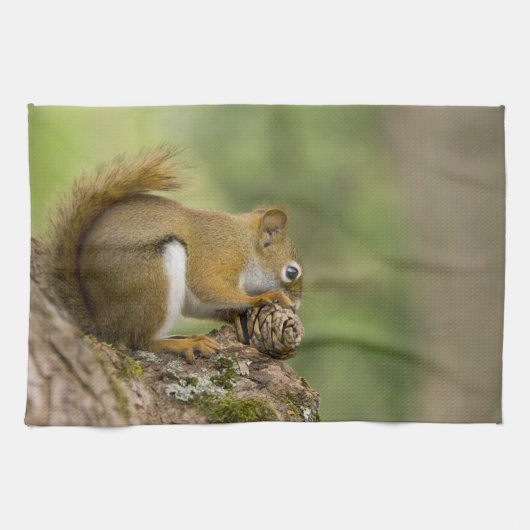 Kanada, Nova Scotia, Halifax. Öffentliche Gärten, Geschirrtuch (Horizontal)