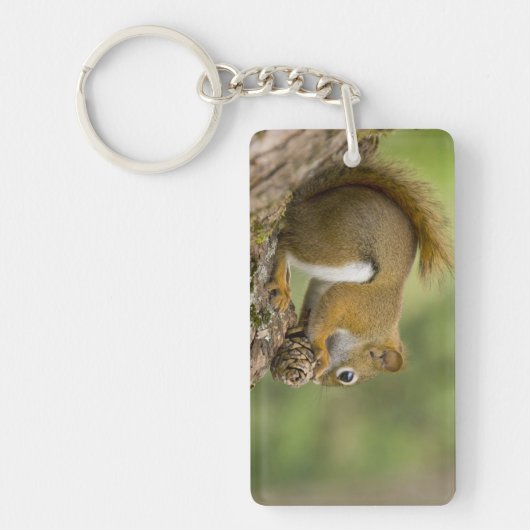 Kanada, Nova Scotia, Halifax. Öffentliche Gärten, Schlüsselanhänger (Vorderseite)