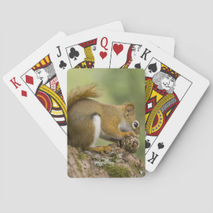 Kanada, Nova Scotia, Halifax. Öffentliche Gärten, Spielkarten