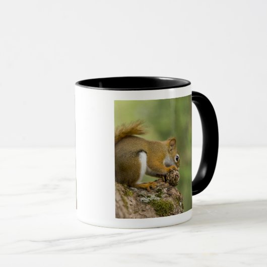 Kanada, Nova Scotia, Halifax. Öffentliche Gärten, Tasse (VorderseiteRechts)