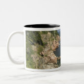 Kanada, Nova Scotia, Kapbreton Island, Cabot Zweifarbige Tasse (Links)