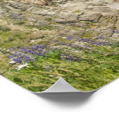 Kanada, Nova Scotia, Kapbretonische Insel, Cabot Poster (Ecke)