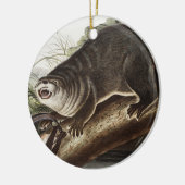 Kanada-Otter-Illustration (Lutra Canadensis) Keramik Ornament (Links)