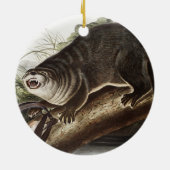 Kanada-Otter-Illustration (Lutra Canadensis) Keramik Ornament (Hinten)