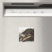 Kanada-Otter-Illustration (Lutra Canadensis) Magnet (In Situ (Geschirrspüler))