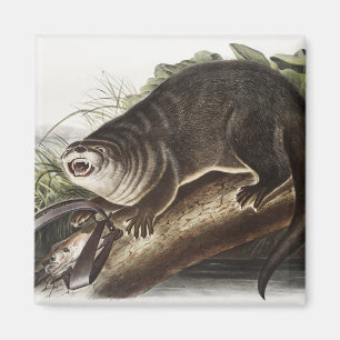 Kanada-Otter-Illustration (Lutra Canadensis) Magnet