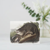 Kanada-Otter-Illustration (Lutra Canadensis) Postkarte (Stehend Vorderseite)