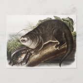 Kanada-Otter-Illustration (Lutra Canadensis) Postkarte (Vorderseite)