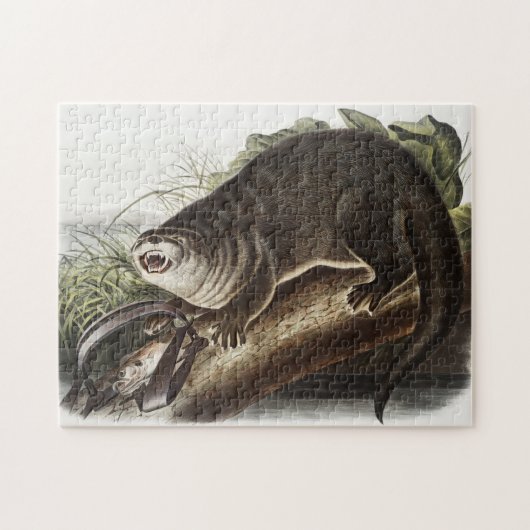 Kanada-Otter-Illustration (Lutra Canadensis) Puzzle (Horizontal)