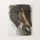 Kanada-Otter-Illustration (Lutra Canadensis) Puzzle (Vertikal)