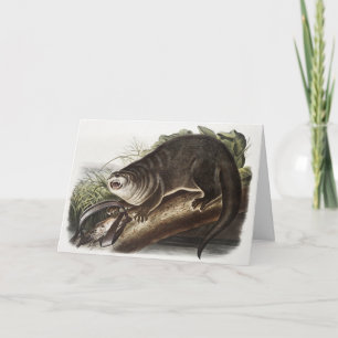 Kanada-Otter (Lutra Canadensis) Illustration Karte