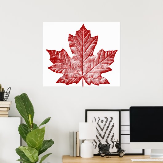 Kanada Poster Canada Maple Leaf Souvenir Print (Heimbüro)
