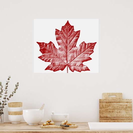 Kanada Poster Canada Maple Leaf Souvenir Print (Küche)