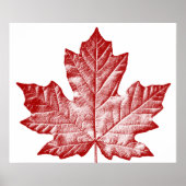 Kanada Poster Canada Maple Leaf Souvenir Print (Vorne)
