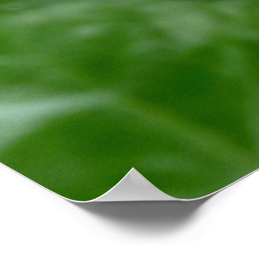 Kanada Poster Canada Maple Leaf Souvenir Print (Ecke)