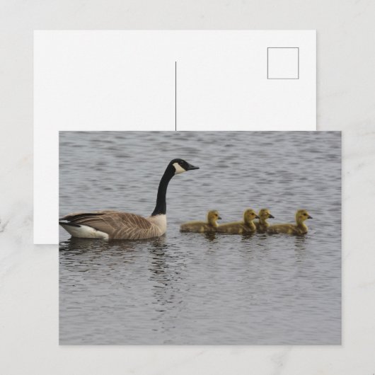 Kanada Postkarte (Vorne/Hinten)