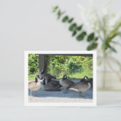 Kanada Postkarte (Stehend Vorderseite)