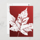 Kanada Postkarten Coole kanadische Souvenirkarten (Vorne/Hinten)