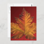 Kanada Postkarten Custom Canada Souvenir Postkarte (Vorne/Hinten)