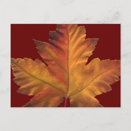 Kanada Postkarten Custom Canada Souvenir Postkarte (Vorderseite)