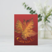 Kanada Postkarten Custom Canada Souvenir Postkarte (Stehend Vorderseite)