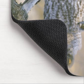 Kanada, Quebec. Große graue Eule steht auf Baum Mousepad (Ecke)