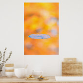 Kanada, Quebec | St. Bruno Naturschutzpark Poster (Küche)