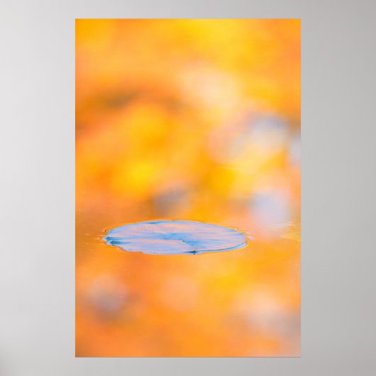 Kanada, Quebec | St. Bruno Naturschutzpark Poster (Vorne)