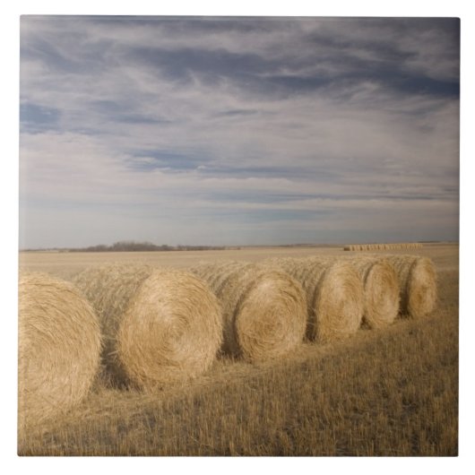 Kanada, Saskatchewan, Craik: Hayroll / Herbst Fliese (Vorderseite)