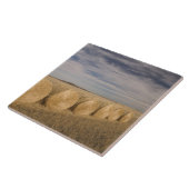 Kanada, Saskatchewan, Craik: Hayroll / Herbst Fliese (Seite)