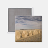Kanada, Saskatchewan, Craik: Hayroll / Herbst Magnet (Vorderseite/Rückseite)