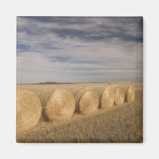 Kanada, Saskatchewan, Craik: Hayroll / Herbst Magnet (Vorne)