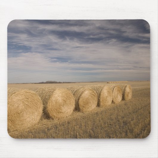Kanada, Saskatchewan, Craik: Hayroll / Herbst Mousepad (Vorne)