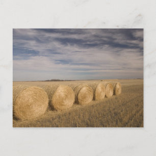 Kanada, Saskatchewan, Craik: Hayroll / Herbst Postkarte