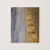 Kanada, Saskatchewan, Craik: Hayroll / Herbst Puzzle (Vertikal)