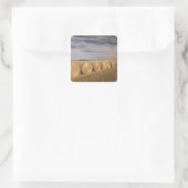 Kanada, Saskatchewan, Craik: Hayroll / Herbst Quadratischer Aufkleber (Tasche)