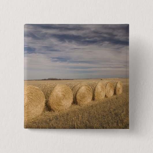 Kanada, Saskatchewan, Craik: Heuröllen / Herbst Button (Vorderseite)