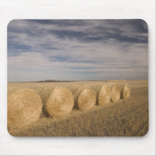 Kanada, Saskatchewan, Craik: Heuröllen / Herbst Mousepad