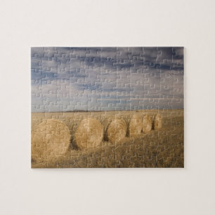 Kanada, Saskatchewan, Craik: Heuröllen / Herbst Puzzle