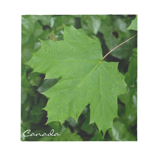 Kanada Souvenir Notepad Canada Maple Leaf Geschenk Notizblock (Vorderseite)